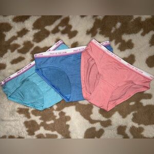 Fruit of the Loom Girls 4T/5T Underwear Bundle – 3 Briefs